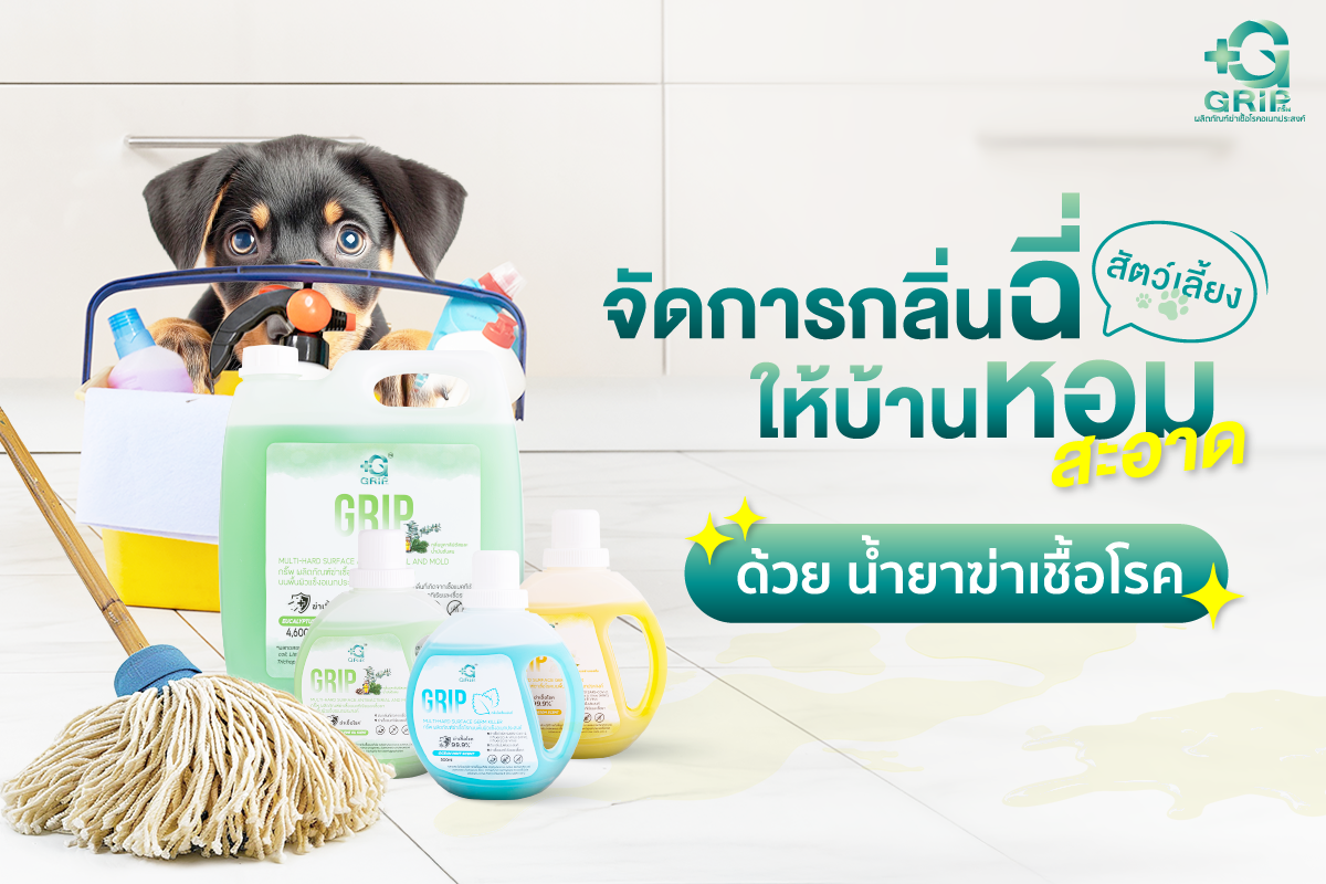 การใช้น้ำยาฆ่าเชื้อโรค หรือน้ำยาทำความสะอาดบ้าน เป็นแนวทางสำคัญในการจัดการกับทุกกลิ่นของสัตว์เลี้ยง โดยเฉพาะกลิ่นฉี่หมา และกลิ่นฉี่แมว